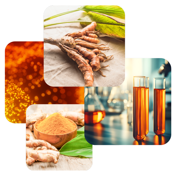 Turmeric root, curcumin powder, and laboratory research